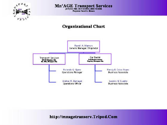 Mn It Services Org Chart