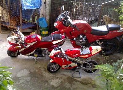 pocketbikes.jpg